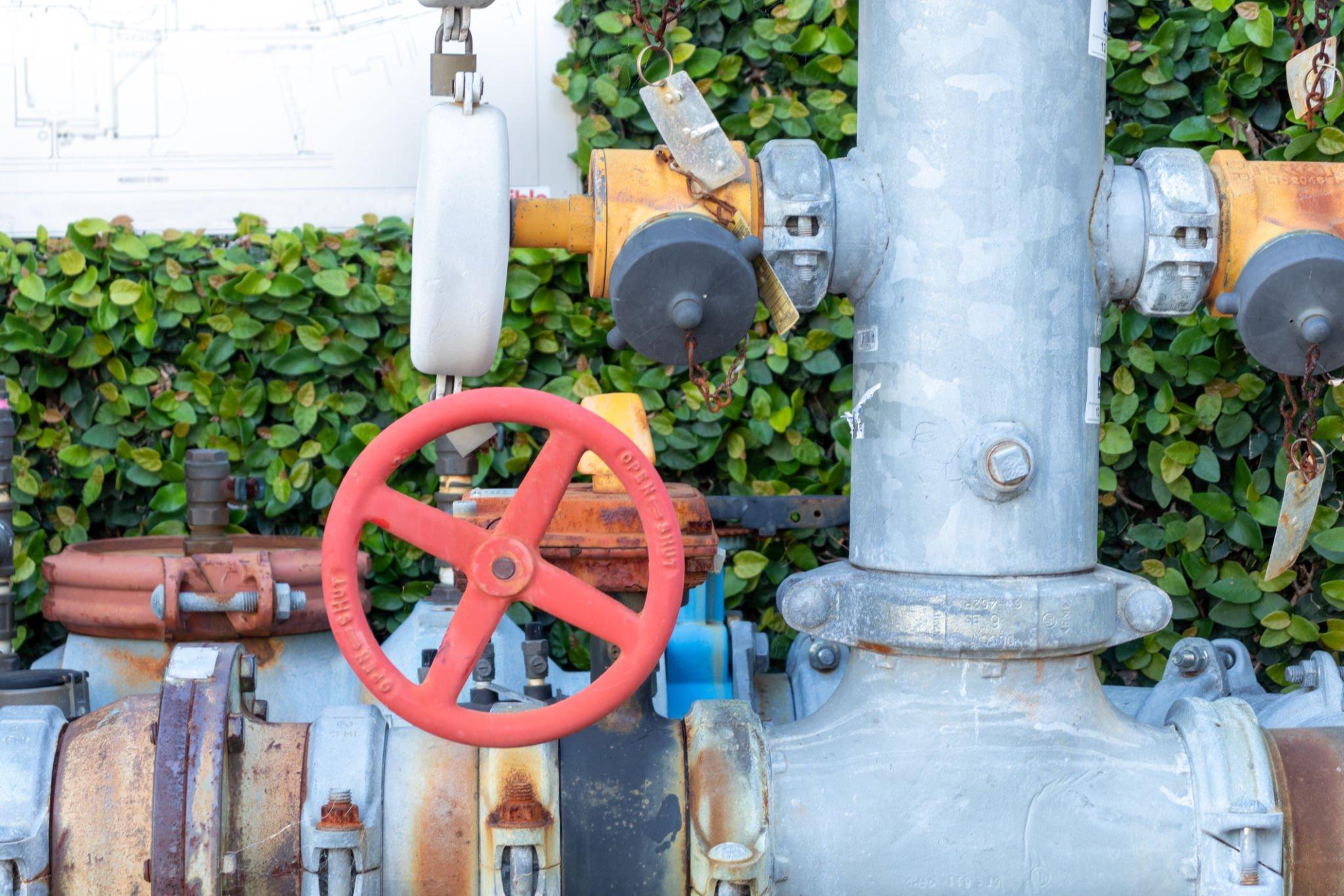 steptodown.com342242.jpg steptodown.com342242.jpg